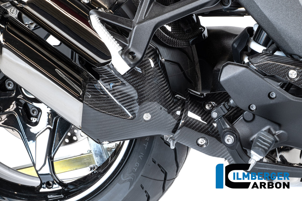 Ilmberger Carbon / イルムバーガー BMW R 1300 R 用 フロント排気熱シールド(カーボン・グロス仕上げ) | CG.AHS.009.R130R