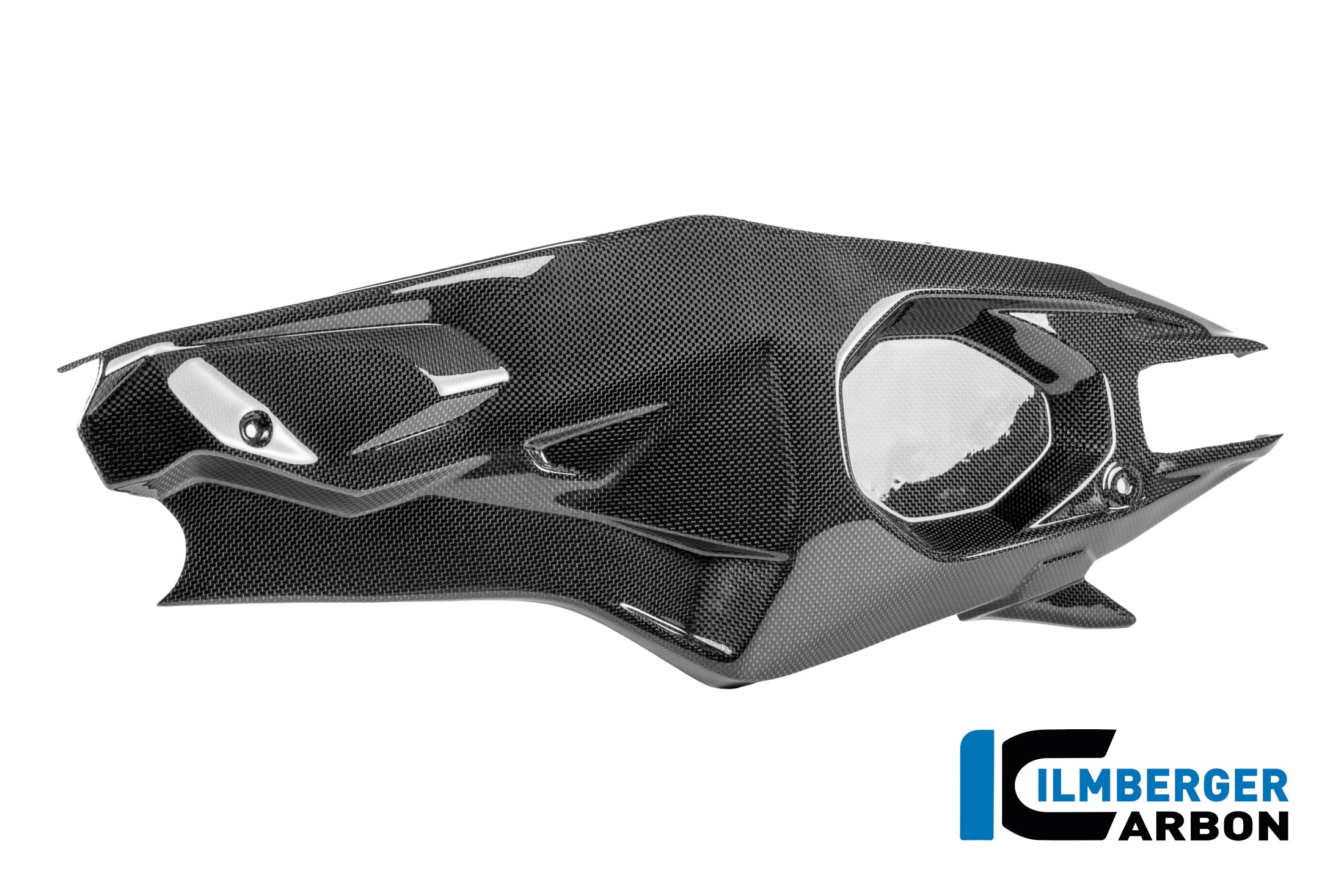 Ilmberger Carbon / イルムバーガー スイングアームカバー(左側) カーボン・グロス Ducati パニガーレ V4 R 2025 | CG.SCL.005.V4R25