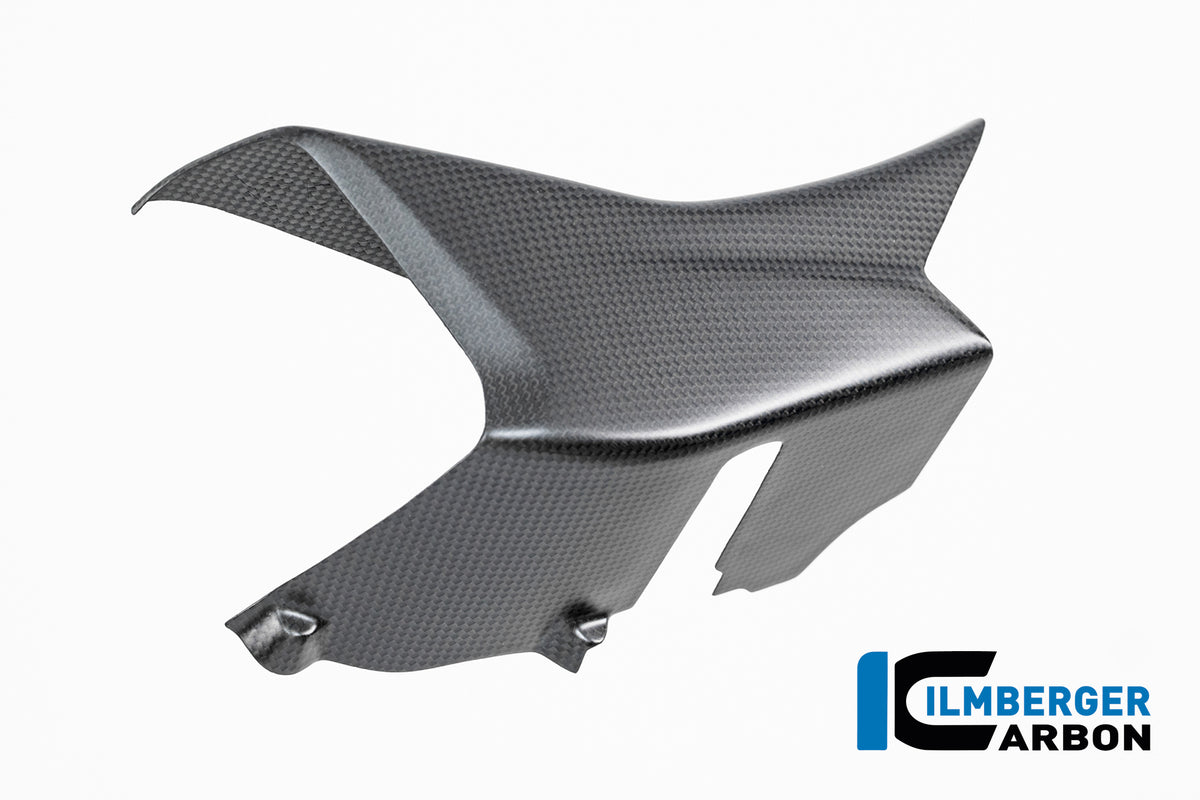 Ilmberger Carbon / イルムバーガー 左側ウィングレットフェアリング カーボンマット Ducati Multistrada V4 2025 | CM.VFL.017.MTS25