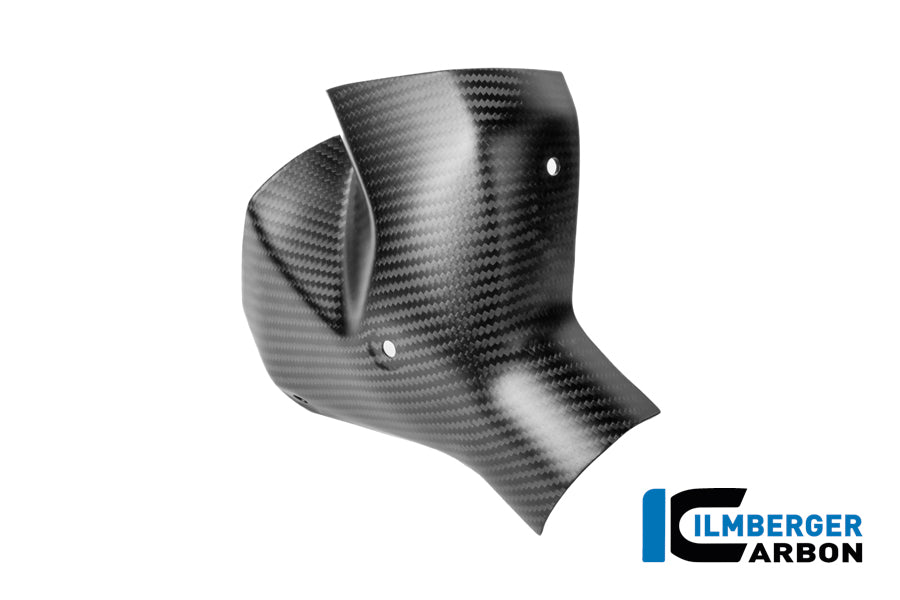 Ilmberger Carbon / イルムバーガー フロントエキゾーストヒートシールド カーボンマット BMW R 1300 R | CM.AHS.009.R130R