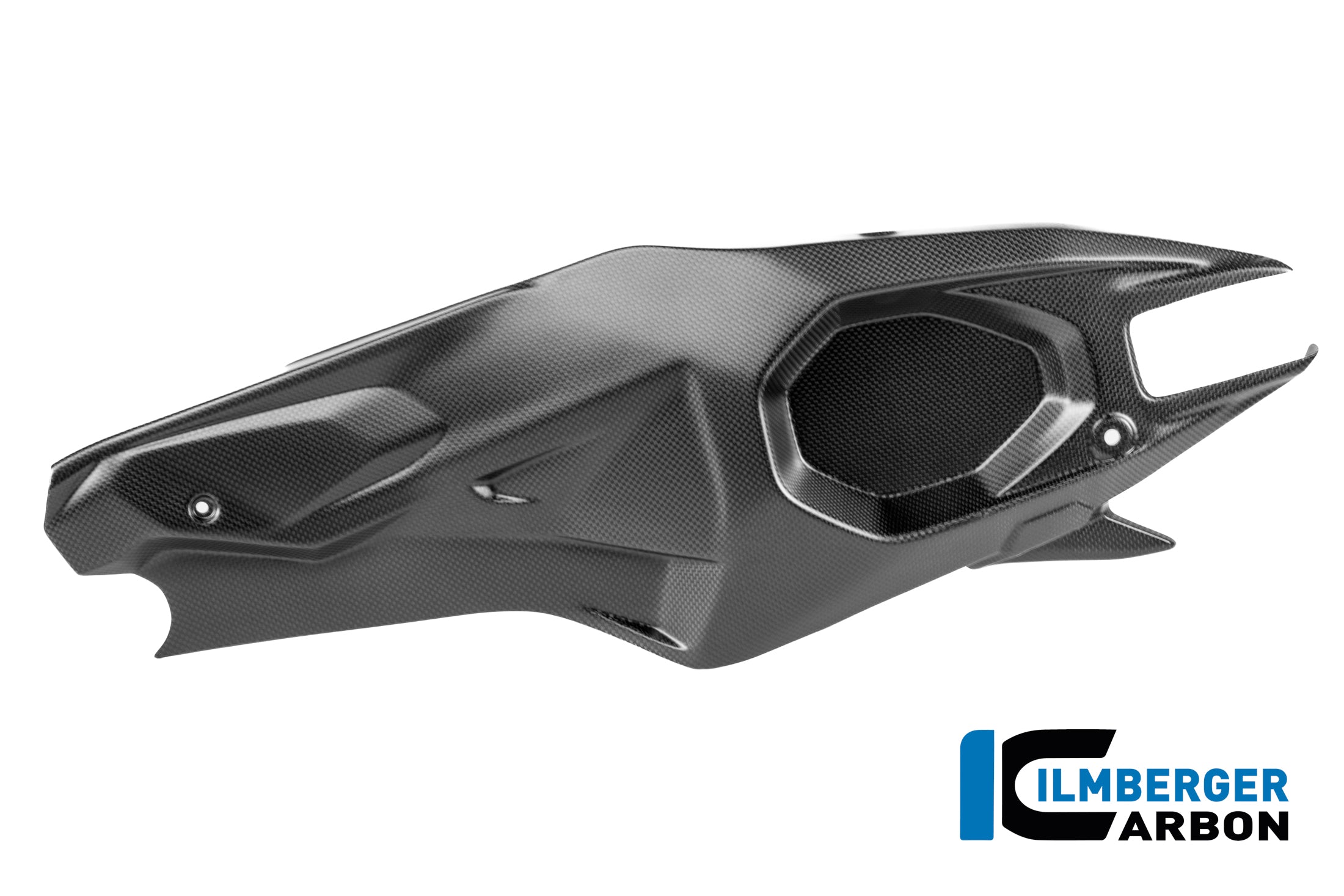 Ilmberger Carbon / イルムバーガー スイングアームカバー(左側) カーボンマット Ducati パニガーレ V4 R 2025 | CM.SCL.005.V4R25