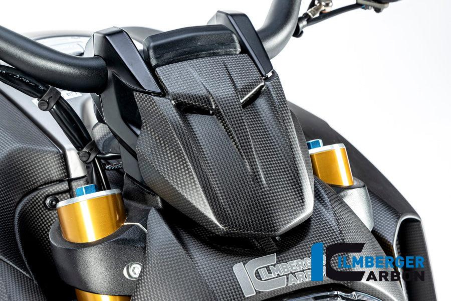 ILMBERGER / イルムバーガー インストルメントカバー マット Diavel 1260 | VEO.101.DI19M.K