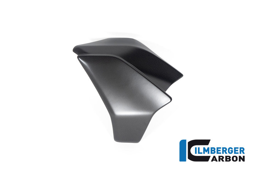 ILMBERGER / イルムバーガー ラジエーターカバー 左 マット Diavel 1260 | WKL.106.DI19M.K