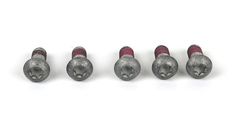 Hornig / ホーニグ ピン 5x screws M8x20MK for BMW R850RT -2001 & R1100RT | 34117713039