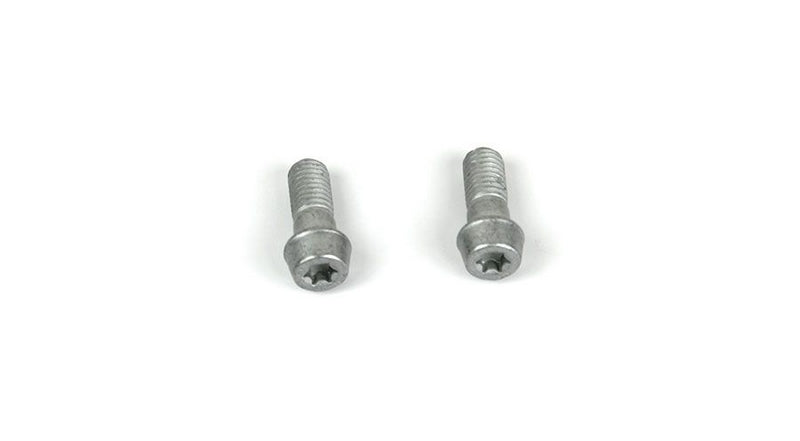 Hornig / ホーニグ ピン 2x screws M10x25 for BMW R1150RS | 34217655484