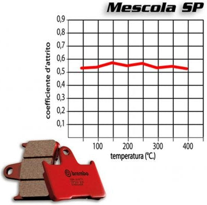 Brembo / ブレンボ REAR BRAKE PAD SET BMW M 1000 RR 2020-2022 | 07KS06SP