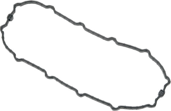 Drag Specialties SEAL F.PUMP DOOR 04-10FXD | I01-0145