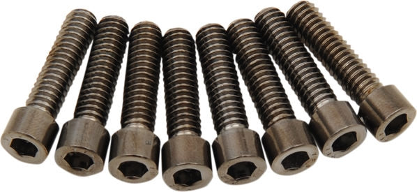 Drag Specialties BOLT KIT M8 LIFTER B/C S | MK776SBK