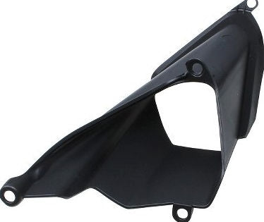 DUCATI純正 COWLING INNER LH | 48411012A
