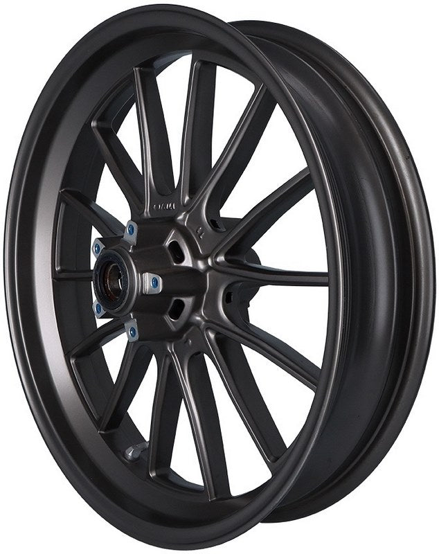 Ducati front wheel black conversion - XDiavel 2016-2021 | 50122061U