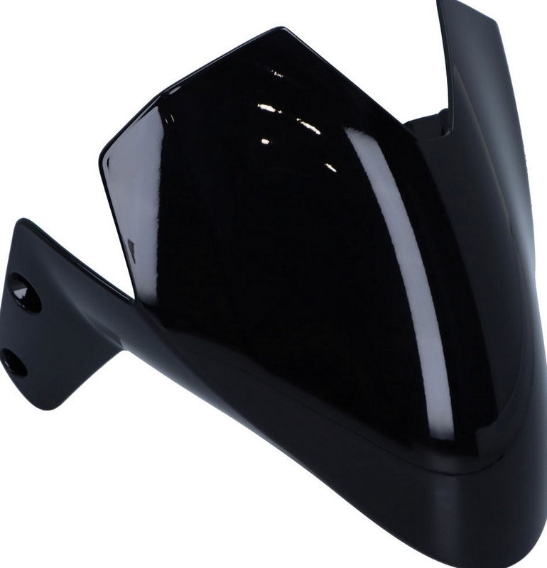 DUCATI純正 EXTENSION FRONT FENDER | 56410441AT