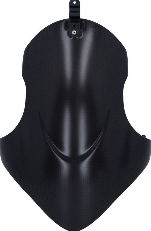 DUCATI純正 FRONT FENDER CARBON | 56420972AC