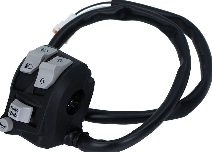 DUCATI純正 LEFT HANDLE SWITCH | 65110271B