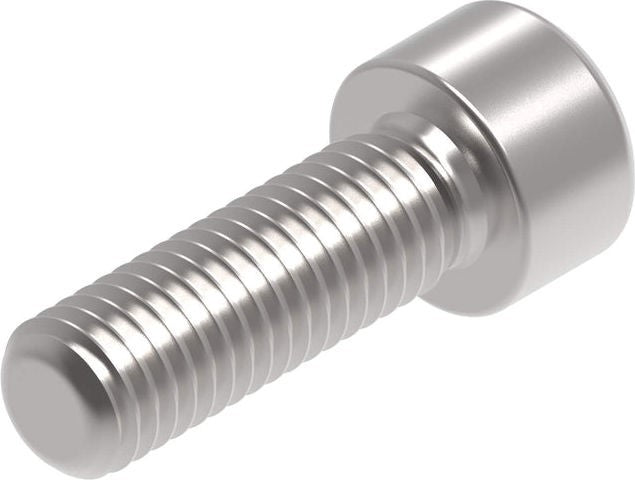 Evotech Performance Evotech Performance EP M10 x 30 x 1.5mm Pitch Caphead - 316 S/S | PRN015295