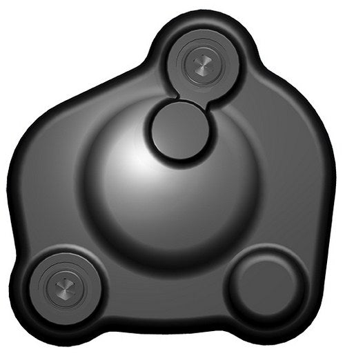 GBRacing / ジービーレーシング クランクカバー | EC-FZ8-2010-4-GBR