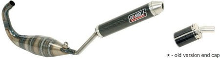 Giannelli / ジェネリ APRILIA RS 50 99/05-TUONO 50 03/07-YAMAH TZR50 00/03-DERBI GPR50 00/02-MBK XPOWER 01/03-PGT XR6 01/03 HOMOL.ALU. SILENCER | 33633HF