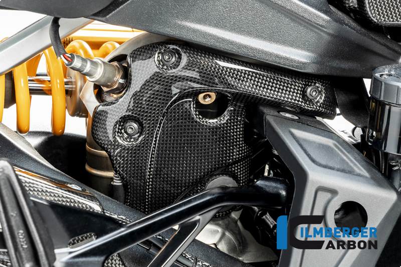 Ilmberger / イルムバーガーカーボンパーツ マニホールド エキゾーストプロテクション グロス Diavel 19- | AHD.004.DI19G.K