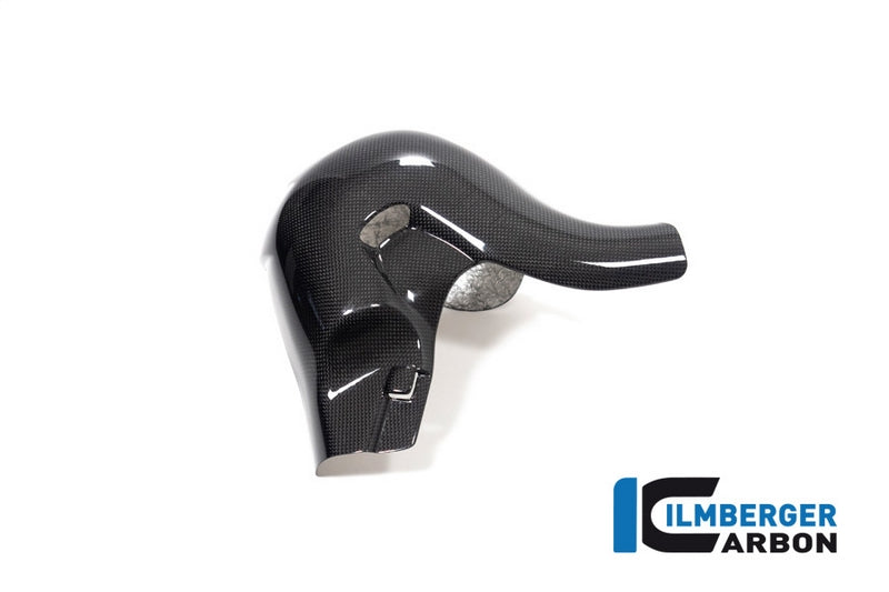 Ilmberger / イルムバーガー エキゾーストプロテクター グロス Streetfighter/Panigale V4 (S) (2022-) EURO5規制車両 | AHS.006.V422G.K