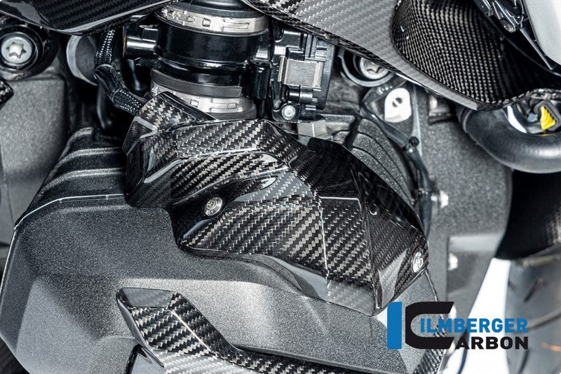 ILMBERGER / イルムバーガーカーボン インジェクターノズルカバー 右 グロッシー BMW R 1300 GS 2023- | CG.EDR.032.R23GS