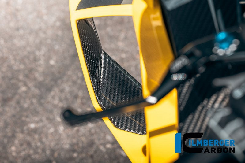 インナーウイング左カーボングロス