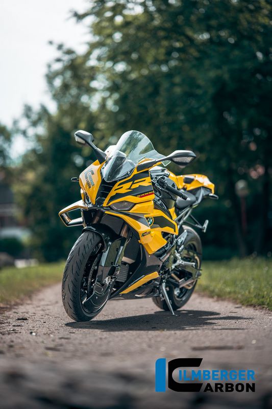 インナーウイング右カーボングロス