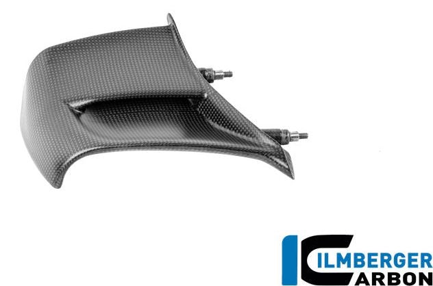 右ウィングレット カーボンマット