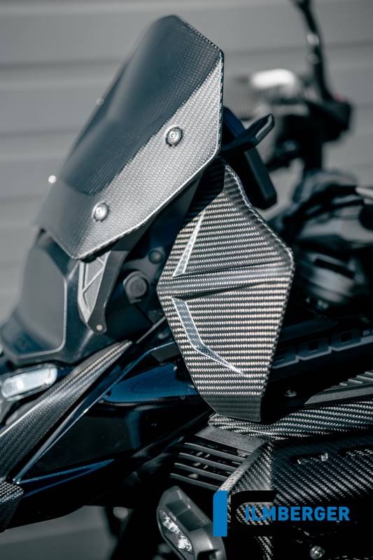 左側ウインドスクリーン マットカーボン