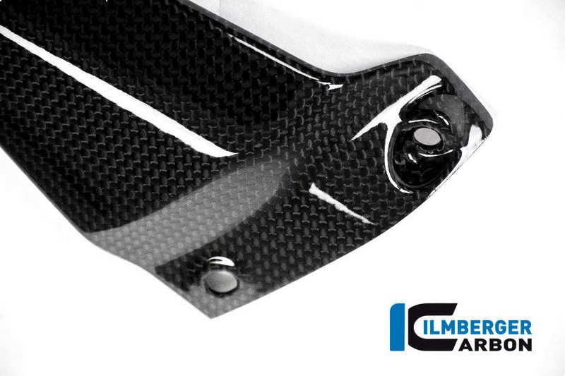 ILMBERGER / イルムバーガーカーボンパーツ ヒールガード 右側 - Ducati Monster 1200/1200 S | FSR.007.D12MG.K