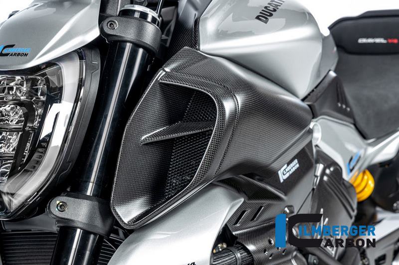 ILMBERGER / イルムバーガーカーボン 左 エアーチューブカバー Ducati ディアベル V4 2023- マット | LKL.101.DI23M.K