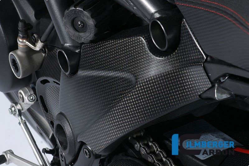 ILMBERGER / イルムバーガーカーボンパーツ フレームカバー 左側 Diavel | RAL.019.DIAVE.K
