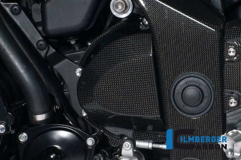 ILMBERGER / イルムバーガーカーボンパーツ フロントスプロケットカバー カーボン - Triumph Speed Triple (2011-now) | RIO.013.TRSPT.K