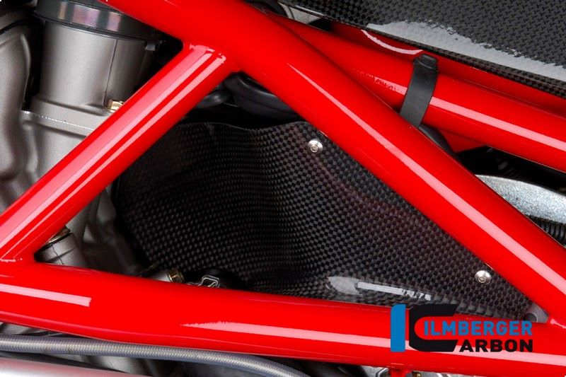 ILMBERGER / イルムバーガーカーボンパーツ ヒーテッドエアー フラップ カーボン - MV Agusta Brutale 750/910 | SED.018.MVBRU.K