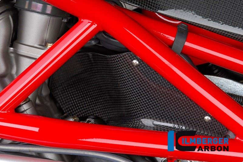 ILMBERGER / イルムバーガーカーボンパーツ ヒーテッドエアー フラップ カーボン - MV Agusta Brutale 750/910 | SED.018.MVBRU.K