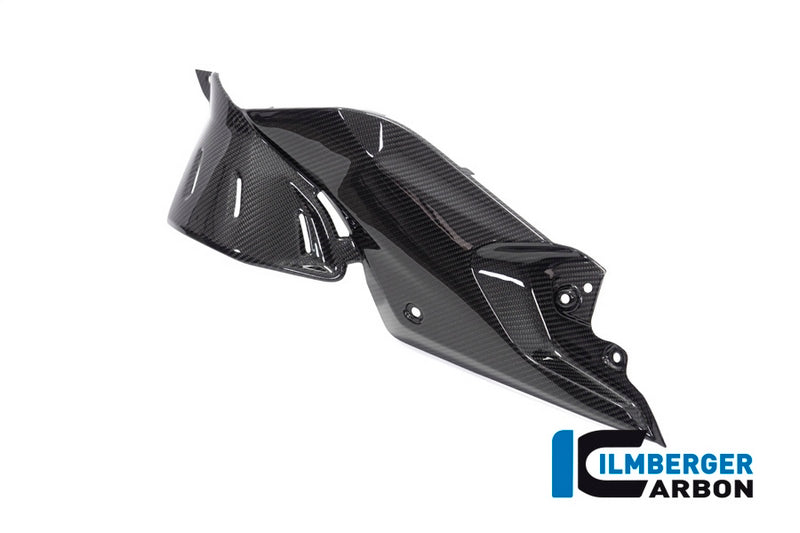 Ilmberger / イルムバーガーカーボンパーツ サイドパパネル (タンク) 左 BMW R 1250 R (LC) 2019 | TUL.012.R125R.K