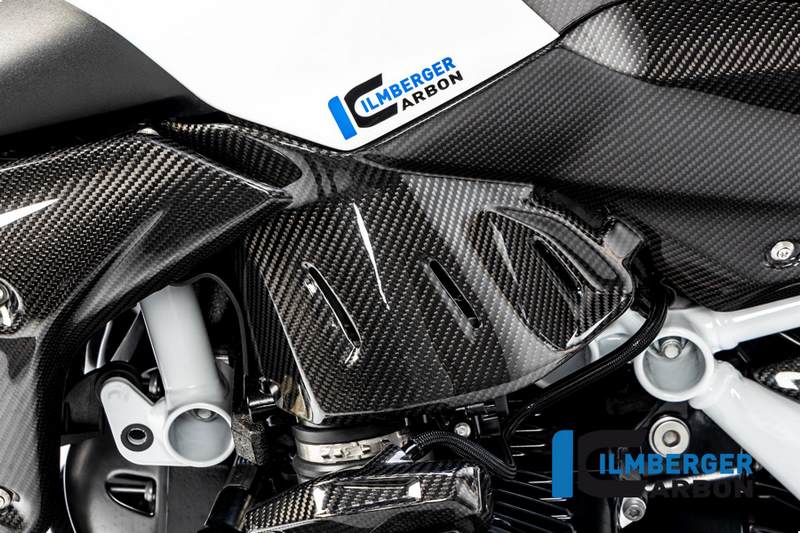 Ilmberger / イルムバーガーカーボンパーツ サイドパパネル (タンク) 左 BMW R 1250 R (LC) 2019 | TUL.012.R125R.K