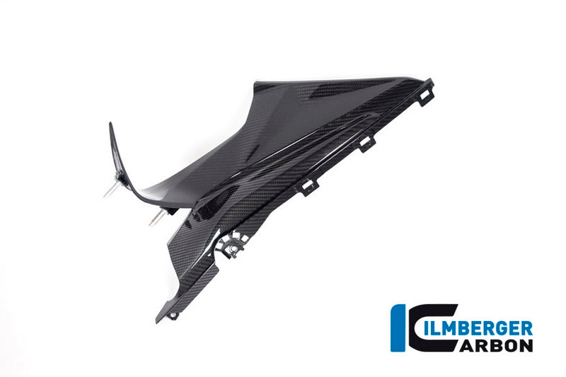 Ilmberger / イルムバーガーカーボンパーツ バゲッジホルダー 左 BMW S 1000 RR Street 2019 | VEL.015.S119S.K