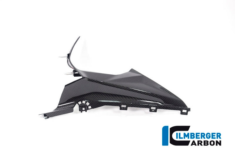Ilmberger / イルムバーガーカーボンパーツ バゲッジホルダー 左 BMW S 1000 RR Street 2019 | VEL.015.S119S.K