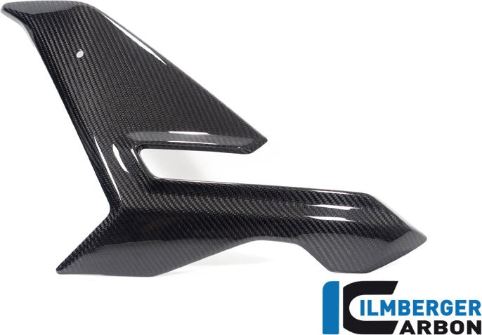 ILMBERGER / イルムバーガーカーボン フェアリングサイドパネル 左 BMW M 1000 R 2023 | VEL.001.M123N.K