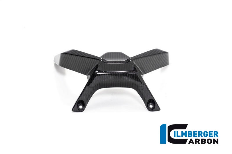 Ilmberger / イルムバーガーカーボンパーツ ウインドシールド BMW R 1250 R (LC) 2019 | VEO.004.R125R.K