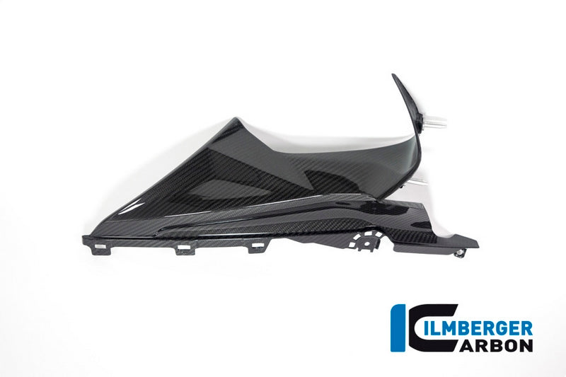Ilmberger / イルムバーガーカーボンパーツ バゲッジホルダー 右 BMW S 1000 RR Street 2019 | VER.016.S119S.K