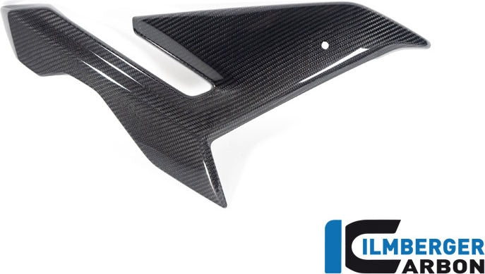ILMBERGER / イルムバーガーカーボン フェアリングサイドパネル 右 street version BMW M 1000 R 2023 | VER.002.M123N.K
