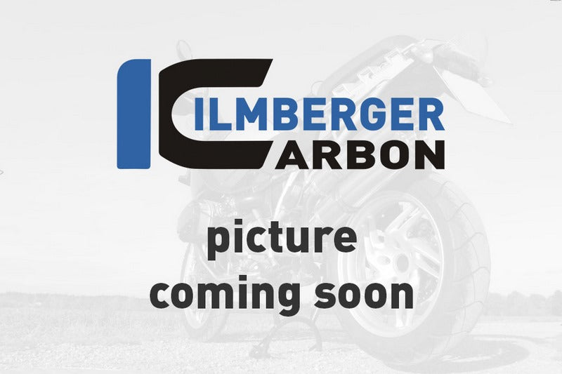 Ilmberger / イルムバーガー フェアリングサイドパネル 右 グロス Panigale V2 | VER.002.V220G.K