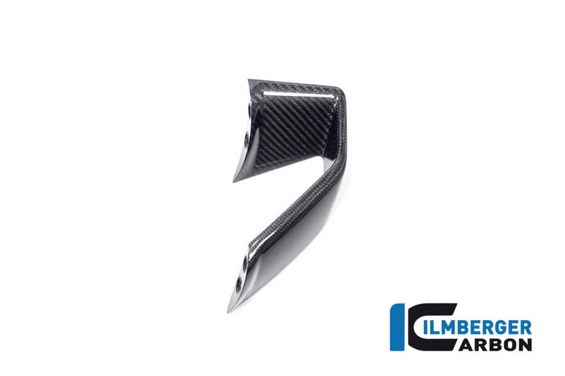 Ilmberger / イルムバーガー ウイングレット 左 BMW S 1000 R 2021 | VFL.015.S121N.K