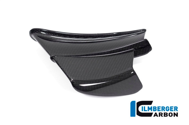Ilmberger Carbon / イルムバーガー Winglet left gloss Panigale V4 R | VFL.065.DV4RG.K