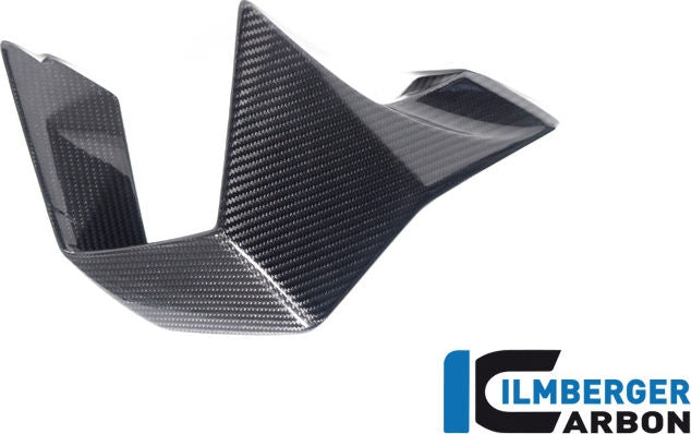 ILMBERGER / イルムバーガーカーボン ウィングレット 右側 BMW M 1000 RR MY 2023- | VFR.005.M123S.K