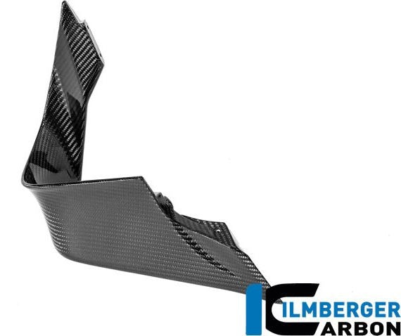 右ウィングレット BMW