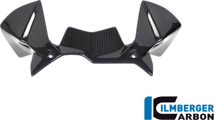 ILMBERGER / イルムバーガーカーボンパーツ ウィンドプロテクター インストルメント BMW R 1250 GS | WAK.006.GS19T.K