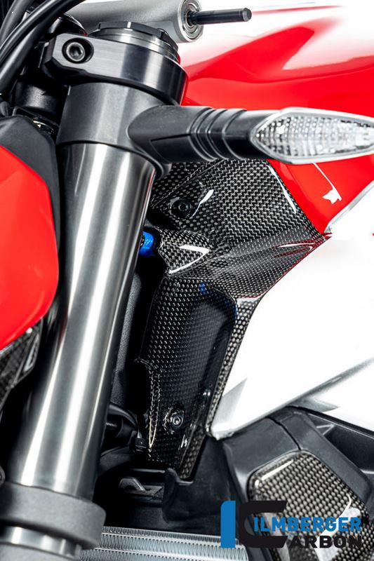 ILMBERGER / イルムバーガーカーボン エアチューブカバー 左 グロス Ducati ストリートファイター V2 | WAL.009.V2SFG.K