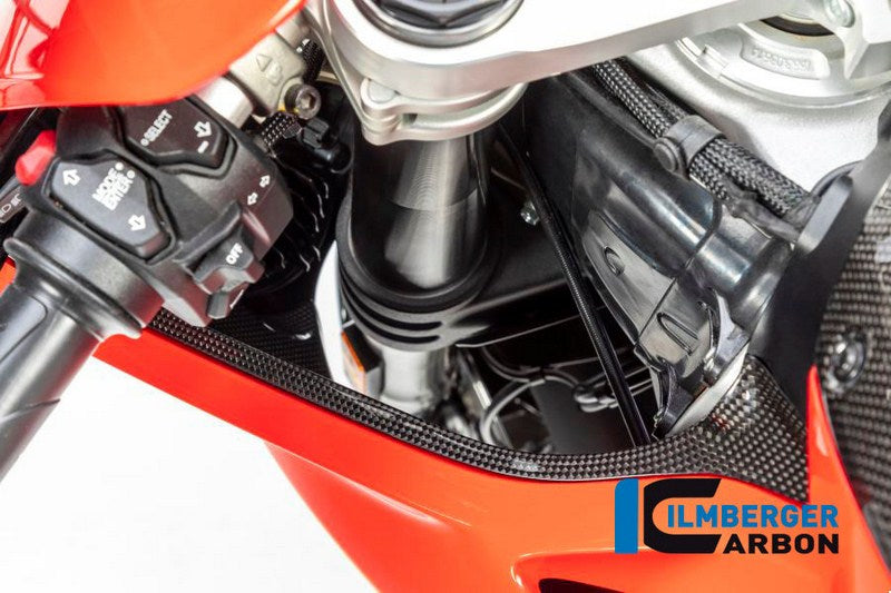 ILMBERGER / イルムバーガーカーボンパーツ エアチューブカバー 左 グロス Panigale V4 / V4 S | WAL.028.DPV4G.K
