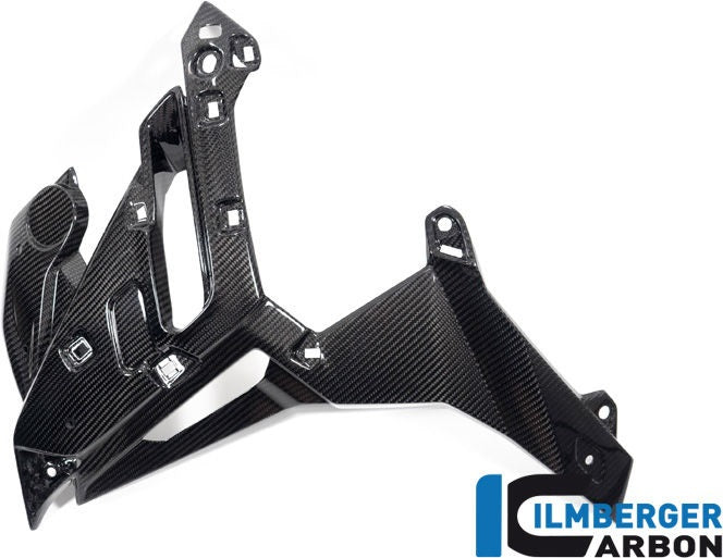 ILMBERGER / イルムバーガーカーボン ウォータークーラーカバー 左 BMW M 1000 R 2023- | WKL.003.M123N.K